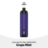 Al Fakher Crown Bar Pro Max 15000 Puffs Grape Mint in Dubai