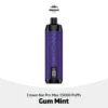 Shop Al Fakher Crown Bar Pro Max 15000 Puffs Gum Mint in UAE