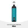 Buy Al Fakher Crown Bar Pro Max Mint 15000 Puffs in UAE